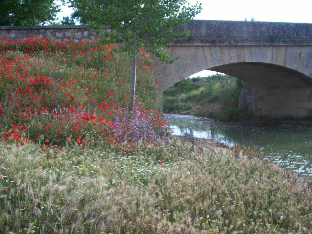 בית הארחה Tamariz de Campos 	Quinta Del Canal מראה חיצוני תמונה